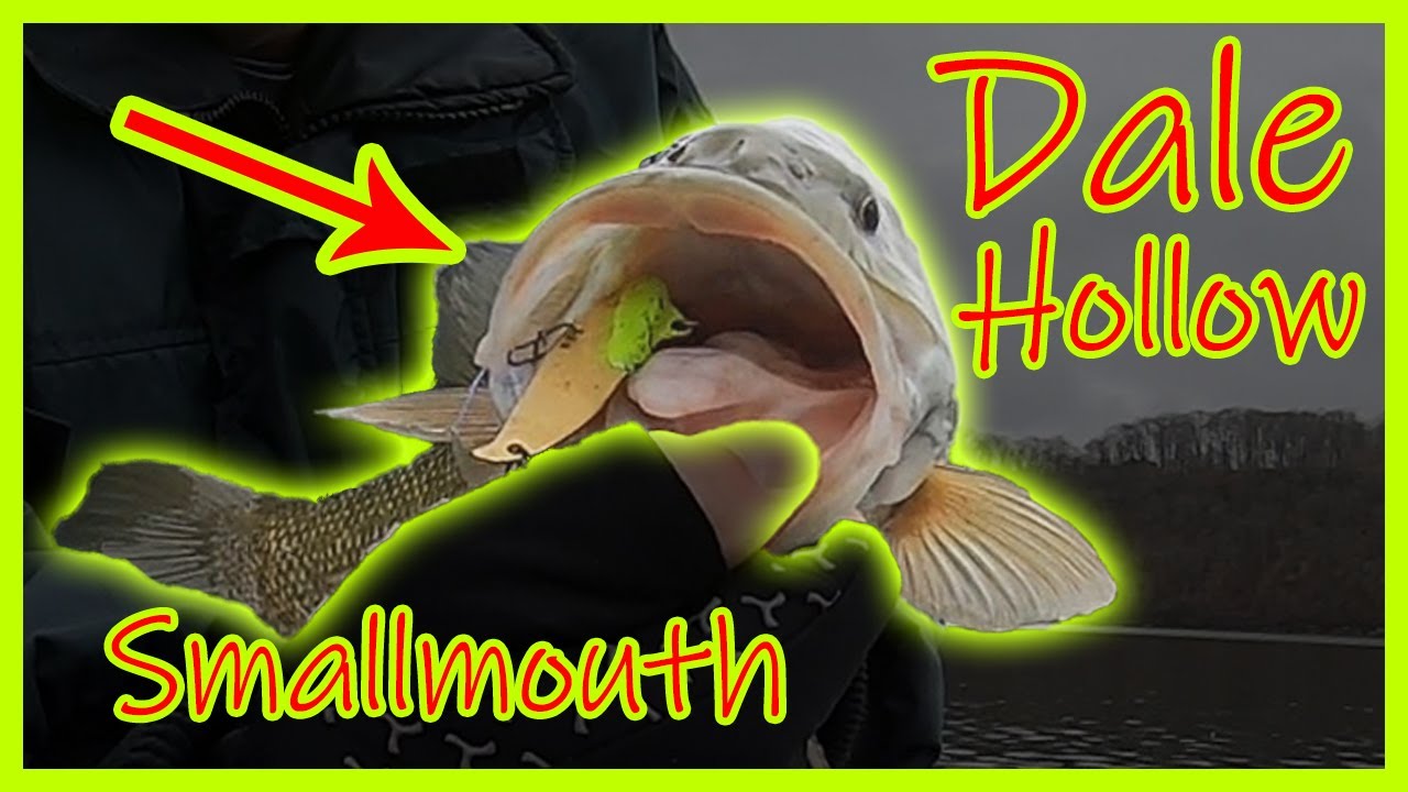 Late January Smallmouth Fishing Dale Hollow Lake Blade Bait YouTube