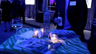 MVI_3855.MOV MVI_3855.MOV