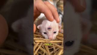 What Should I Name It