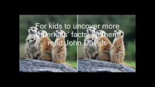 The Meerkat Home -- Meerkats For Kids -- Amazing Animal Books For Young Readers
