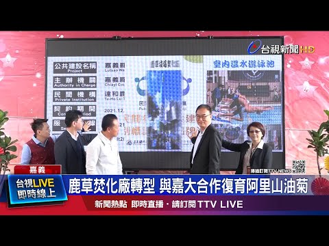 鹿草焚化廠轉型 與嘉大合作復育阿里山油菊