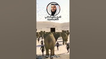 الشيخ مشاري العفاسي حالات واتس اب دينية قصيرة قران كريم تلاوة خاشعة ومؤثرة بصوت جميل جدا
