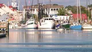 Charleston, SC Surrounding Area