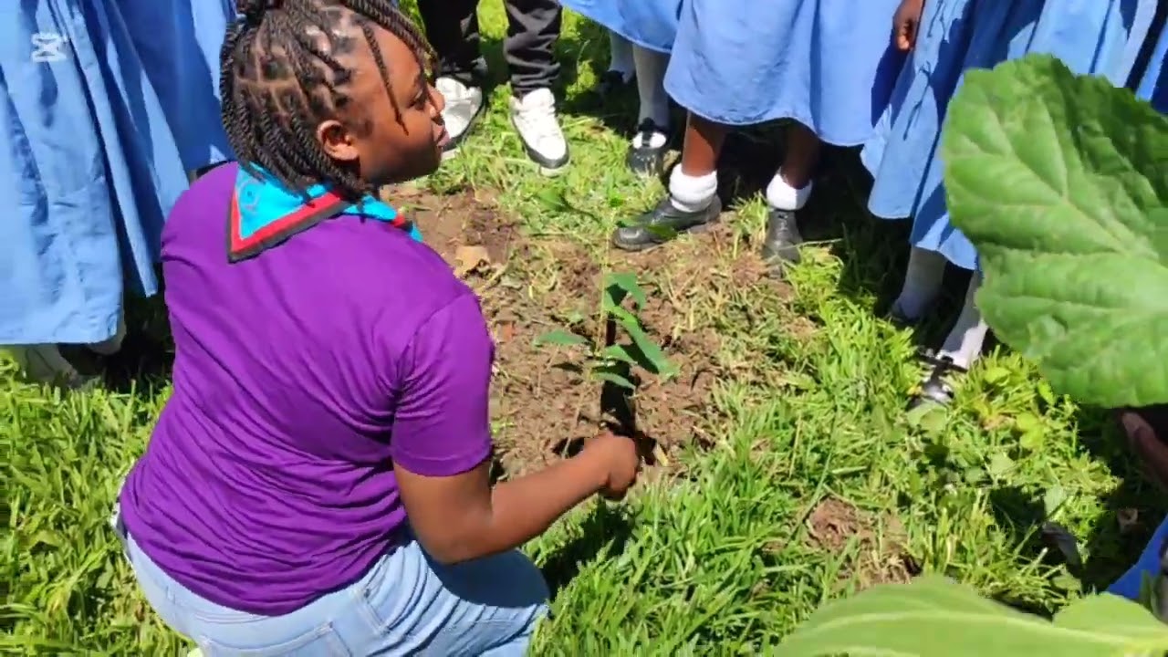 Plant a Tree, Grow with a Tree