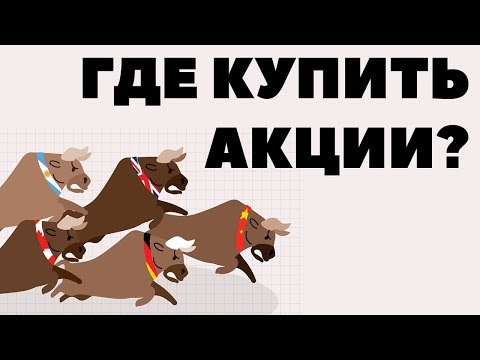 Где можно купить акции физическому лицу? Покупка акций компаний частным лицом