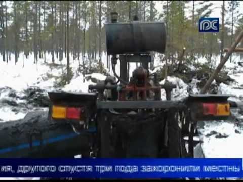 Вологодские поисковики подняли из болота останки пилота бомбардировщика ПЕ-2