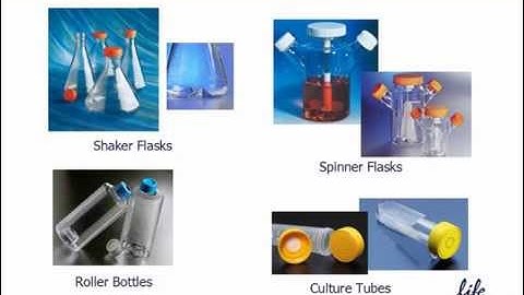 Cell Culture Best Practices