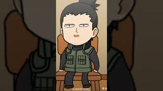 Shalimar  was hokage for no reason....