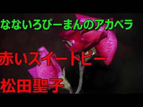 松田聖子の【赤いスイートピー】なないろぴーまんのアカペラ
