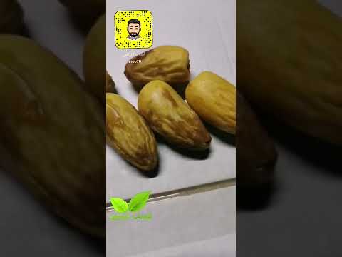اسباب تجعد ثمار النخيل