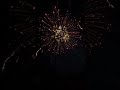 2 75inch 25shots shell #fireworks #pyrotechnica #fireworksfestival