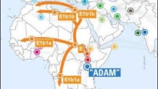 Where do West Africans come from  #DNA #Genetics #e1b1a #e1b1b