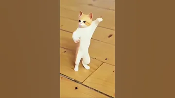 احلى قطه واحلى رقصه احلى طبله 