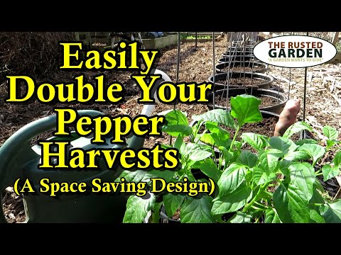 Double Your Pepper Harvests with this Simple Garden Bed Design: More Peppers & Less Resources!