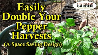 Double Your Pepper Harvests with this Simple Garden Bed Design: More Peppers &amp; Less Resources!
