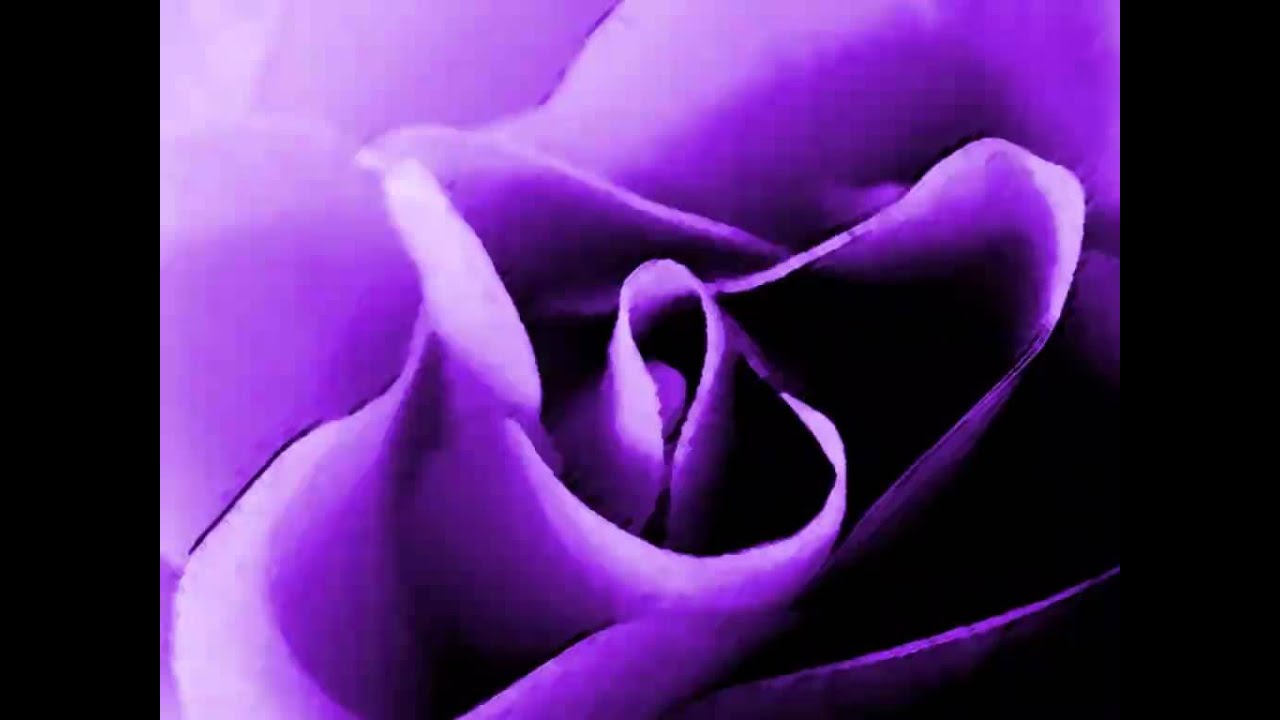 הרב ארז משה דורון - טוב להודות לה' הרב ארז משה דורון חובה!