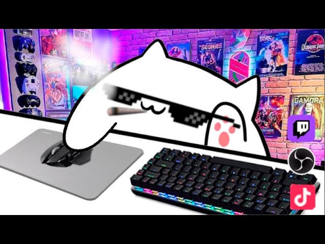 Como instalar y configurar Bongo cat 🤩 y como ponerlo en obs y