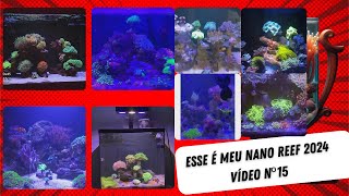 Esse é meu Nano Reef 2024 - Vídeo nº15 by Aquário Marinho -Sem Grana 1,440 views 19 hours ago 24 minutes