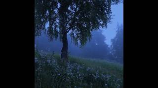 Free Sad Indie Folk X Acoustic Guitar Type Beat - Mind