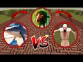 TUNG TUNG TUNG SAHUR VS TRALALERO TRALALA VS BABY BRRR BRR  PATAPIM in Garry's Mod