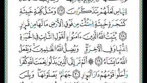 ختمة مصحف التجويد برواية الدوري الصفحة رقم  259