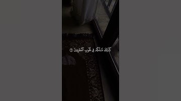 قرآن كريم 🎀 #استغفرالله #قران_كريم #لايك #سبحان_الله #الحمدلله