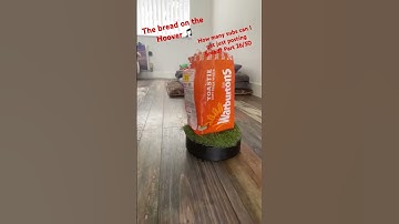 How many subs can I get just posting bread? Part 26/50 #bread #hoover #experiment #fyp