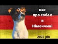 Все про собак в Німеччині. 2022 рік.