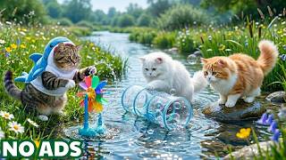 Relaxing Music for Nervous Cats 🐱 Soft Healing Piano & Purring for Deep Relaxation 💤 Cat TV screenshot 5