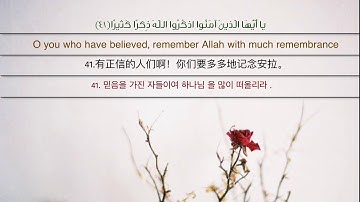 سورة الأحزاب Surat Al-Ahzab  《古兰经》同盟军章、41-44节 꾸란 제 33 장