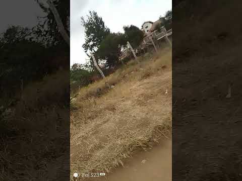 A Walk Around Machakos Academy Road MercyNguku The World Traveller Worshipsongrewritten