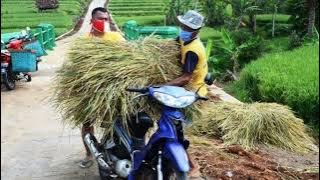 Mars Pejuang Rupiah || @PASKUBRA