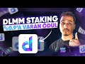 Günlük %0.9'a Varan Profit ile SOL ve USDC Stake İmkanı! | 🔥 DLMM Projesini İnceledim