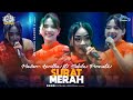 Surat Merah - Mawar Aprillia ft Sabila Permata New Pallapa (live Petraka 2024) | Season X
