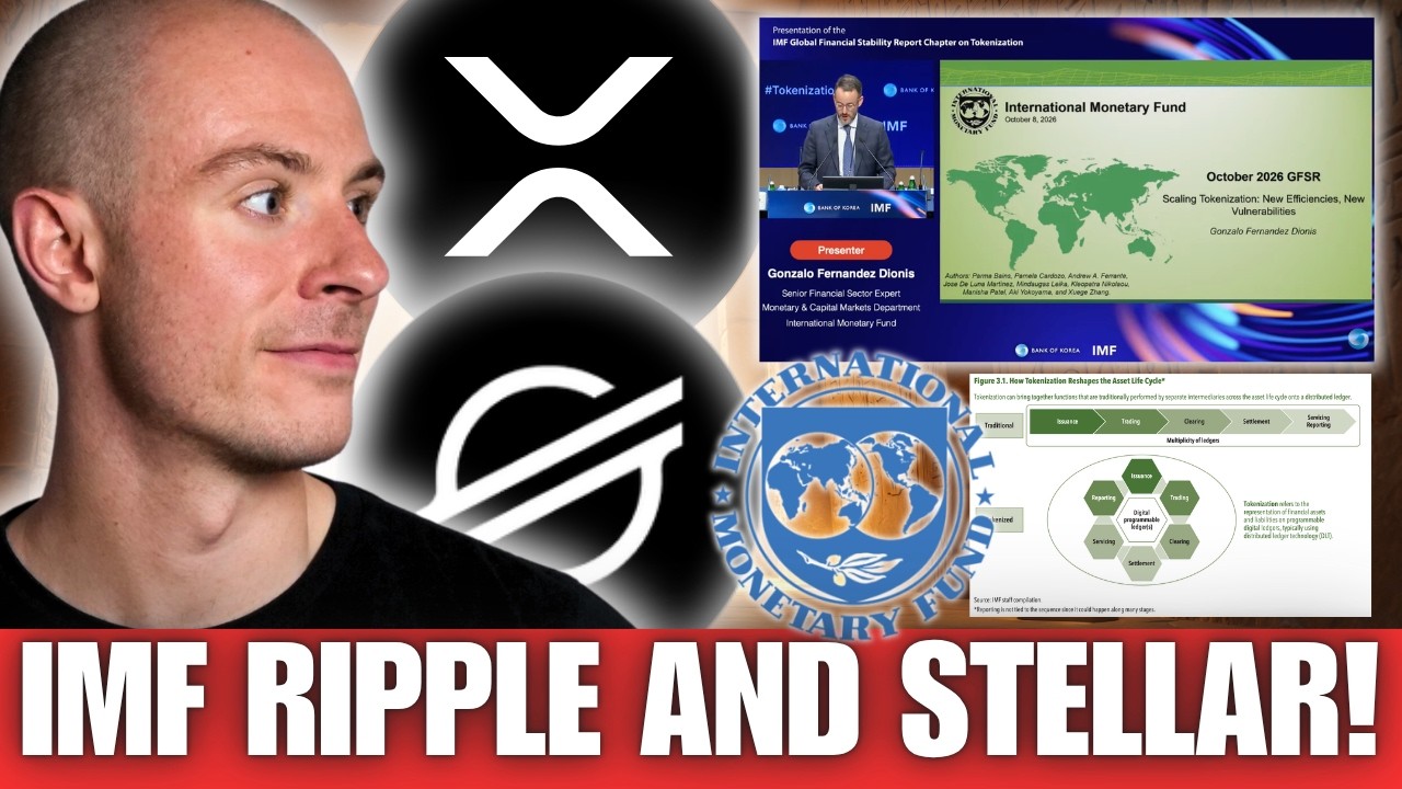 The International Monetary Fund Just Highlighted Stellar Lumens XLM And Ripple XRP!!!