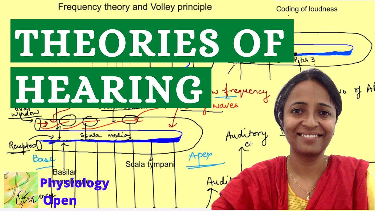 frequency theory of hearing