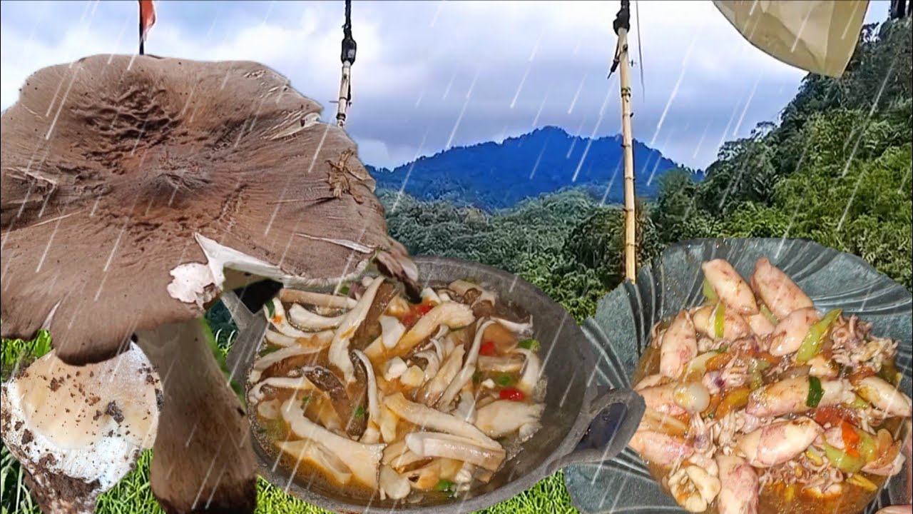 HUJAN DERAS DI ATAS BUKIT MASAK TUMIS JAMUR BARAT HASIL ALAM TUUM CUMI NIKMAT 