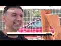 مهرجان فن النحت بالخشب والصخر والرسم في قرية المغار أمل سرحان صباحنا غير 26 9 2018 مساواة