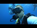 SCUBA diving in Cancun Mexico. Coral reefs. Diving center Manta Divers.