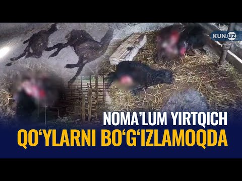 Video: Nega raqamlashtirish jamiyat uchun xavfli?