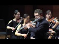 J. Sibelius: Violin Concerto in D minor, op. 47. I. Allegro moderato (arr. by D. Bouriakov)