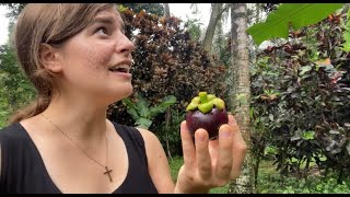 I Tried A Lot Of Weird Fruits In Asia