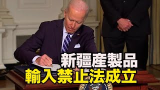 「中国への責任追及の上で最も重要な動き」新疆産製品の全面的な輸入禁止法成立