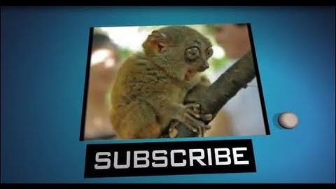 How to install Classic shell