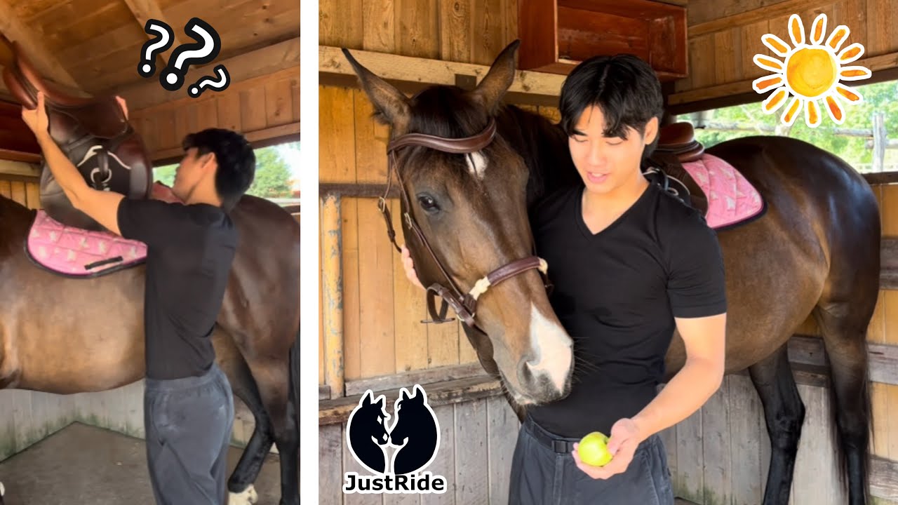 Nem lovas barátom szerelte fel Dakotát! 🤯😆| JustRide