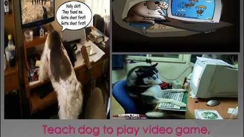 Challenge Assumption