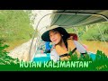 Perjalanan ke Hutan Kalimantan.