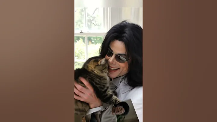 Video 11764461: rare cat, adorable pets, cute pets, funny cat, cat playing, kitten