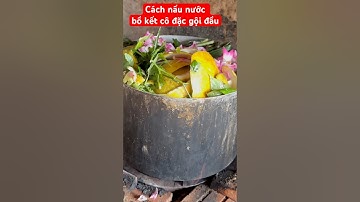 Cách nấu nước bồ kết , sả , vỏ bưởi cô đặc gội đầu | dầu gội bồ kết|