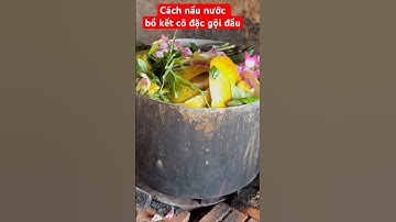 Cách nấu nước bồ kết , sả , vỏ bưởi cô đặc gội đầu | dầu gội bồ kết|